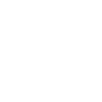 cropped stefidifran logo white.png